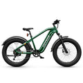 HOVSCO HovAlpha Long-Range E-Bike
