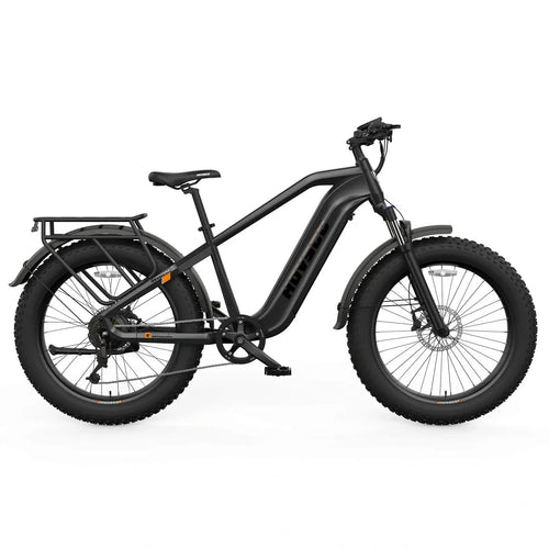 HOVSCO HovAlpha Long-Range E-Bike