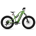 HOVSCO HovScout Full Suspension E-bike